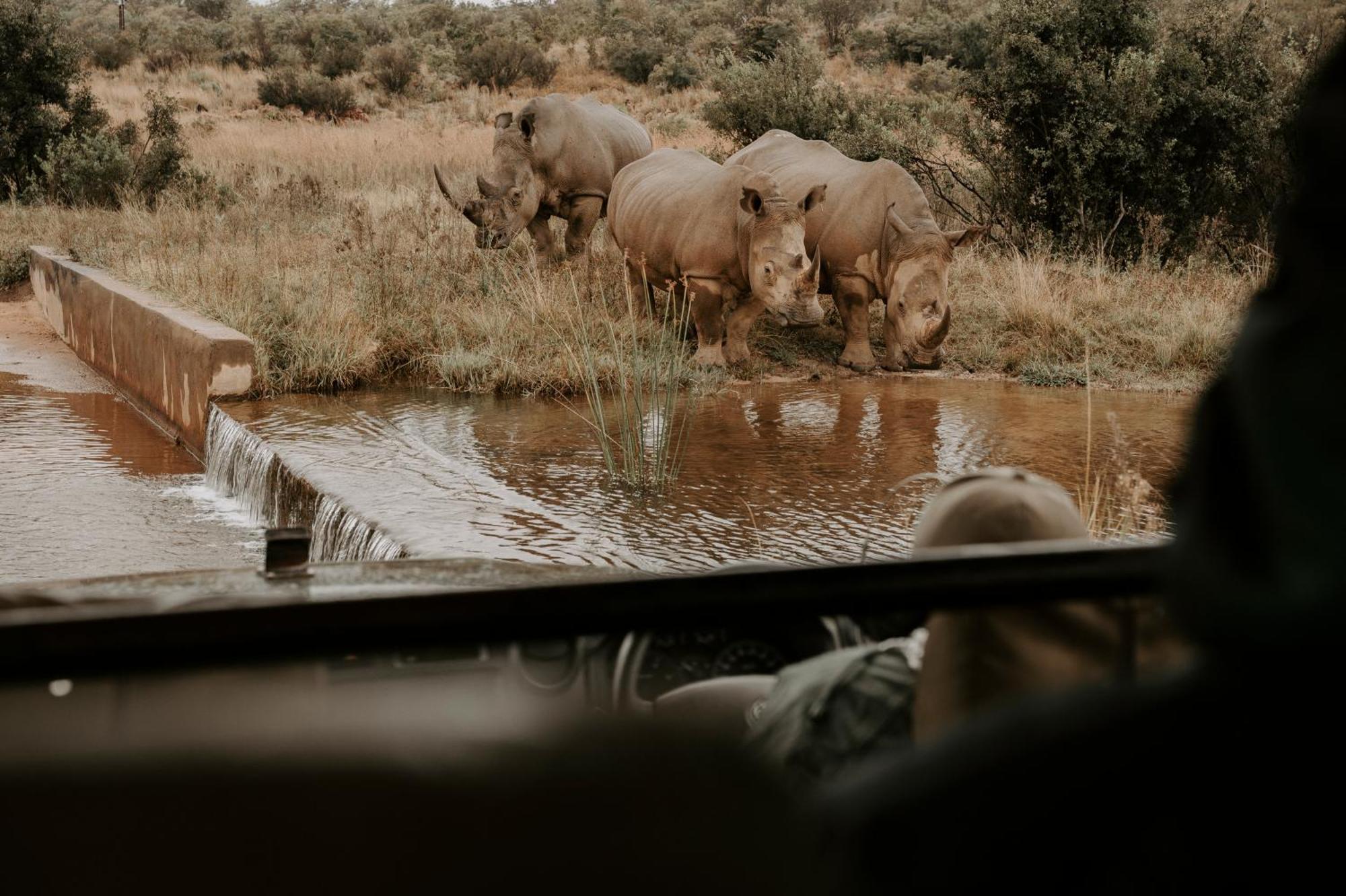 Matingwe Lodge Hartbeestfontein Dış mekan fotoğraf